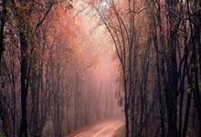 开云体育-皇马强势亮剑罗马，梅西关键制胜再现传奇