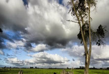 开云体育app-Misfits碾压FLY,Vetheo绝境逆转:电竞战场上的巅峰剧本