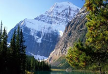 开云下载-奥地利乒乓球队惊艳全场,张本智和领衔王者归来