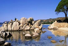 开云下载-奥地利乒乓球队惊艳全场,张本智和领衔王者归来