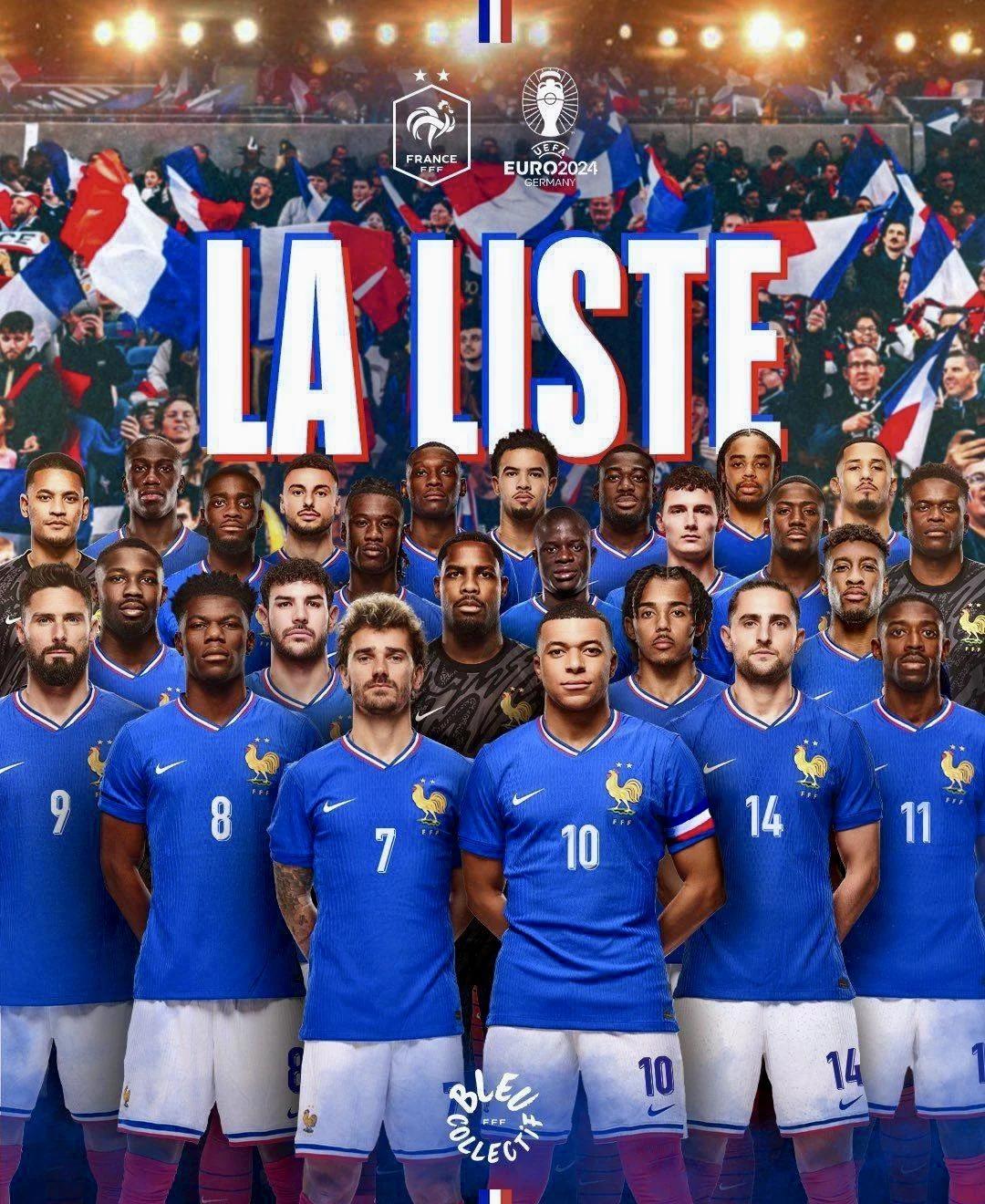 开云体育官网-瑞典逆转战胜波兰，晋级欧洲杯强