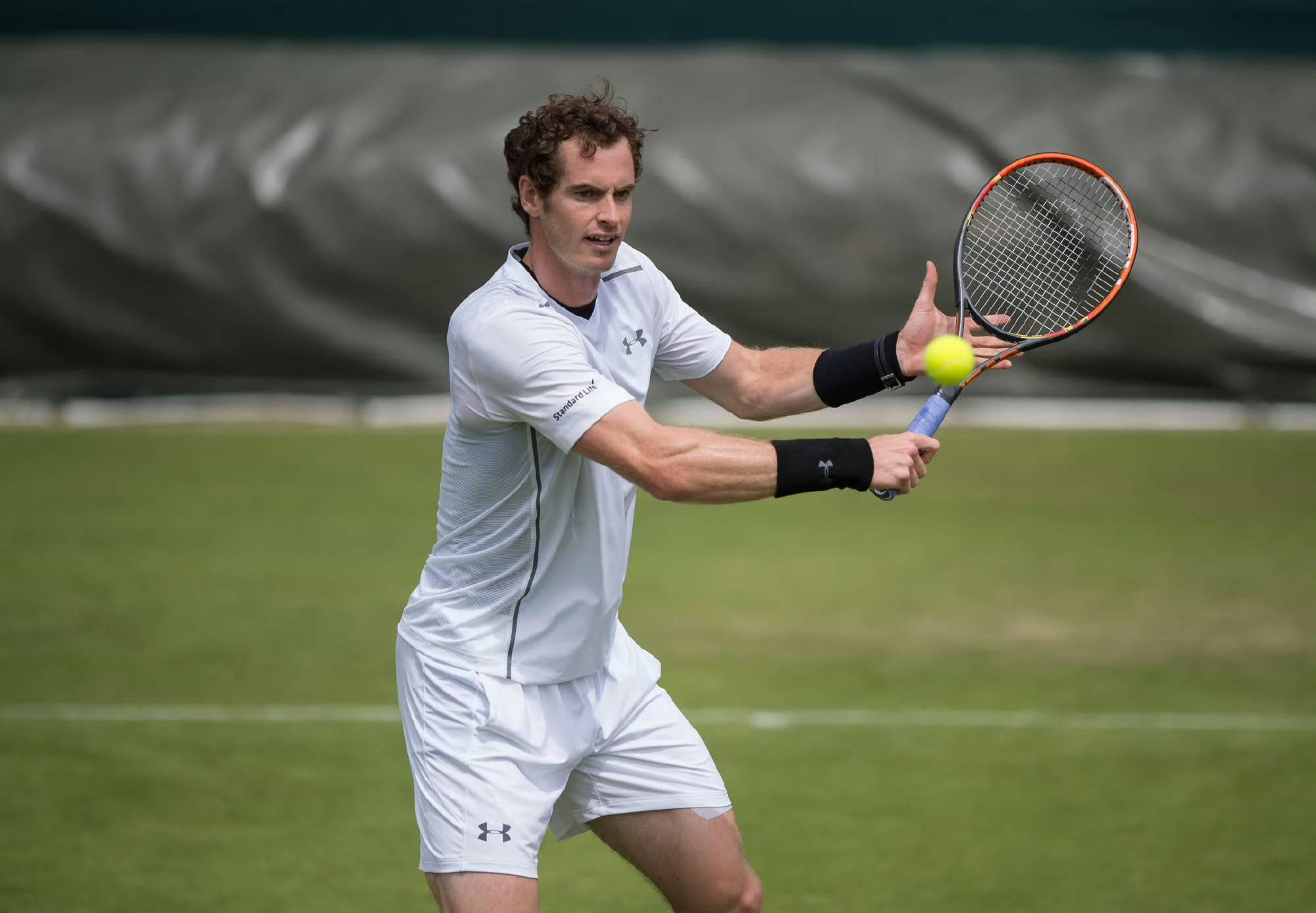 年终总决赛完胜温网,穆雷带队取胜 年终总决赛完胜温网,穆雷带队取胜